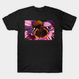 Red Admiral on Ecinachea Purpurea T-Shirt